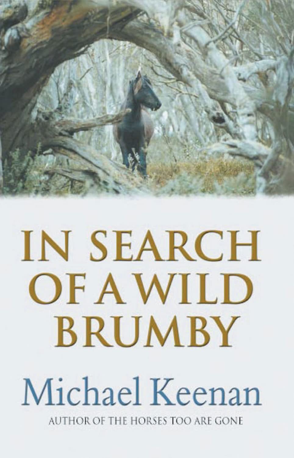 In Search of a Wild Brumby,Used