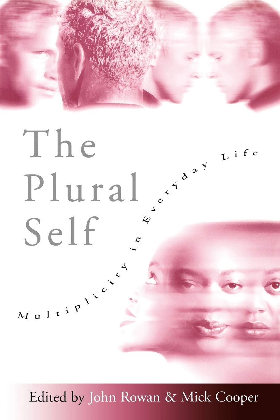 The Plural Self: Multiplicity in Everyday Life,Used