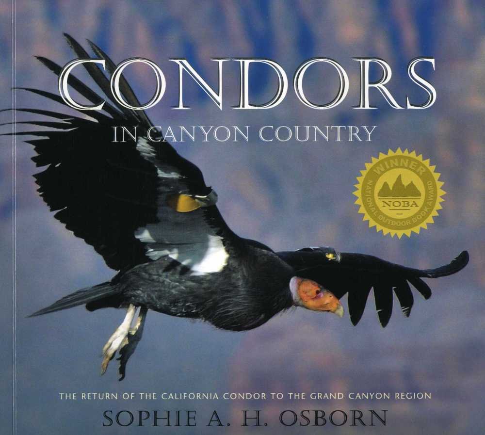 Condors in Canyon Country: The Return of the California Condor to the Grand Canyon Region,Used