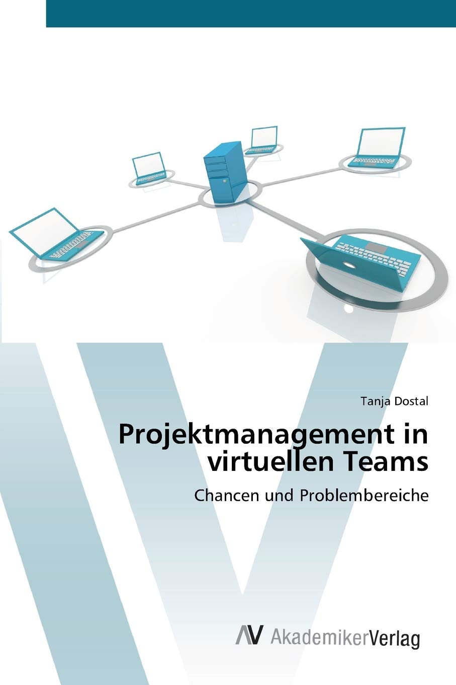 Projektmanagement in virtuellen Teams: Chancen und Problembereiche (German Edition),Used