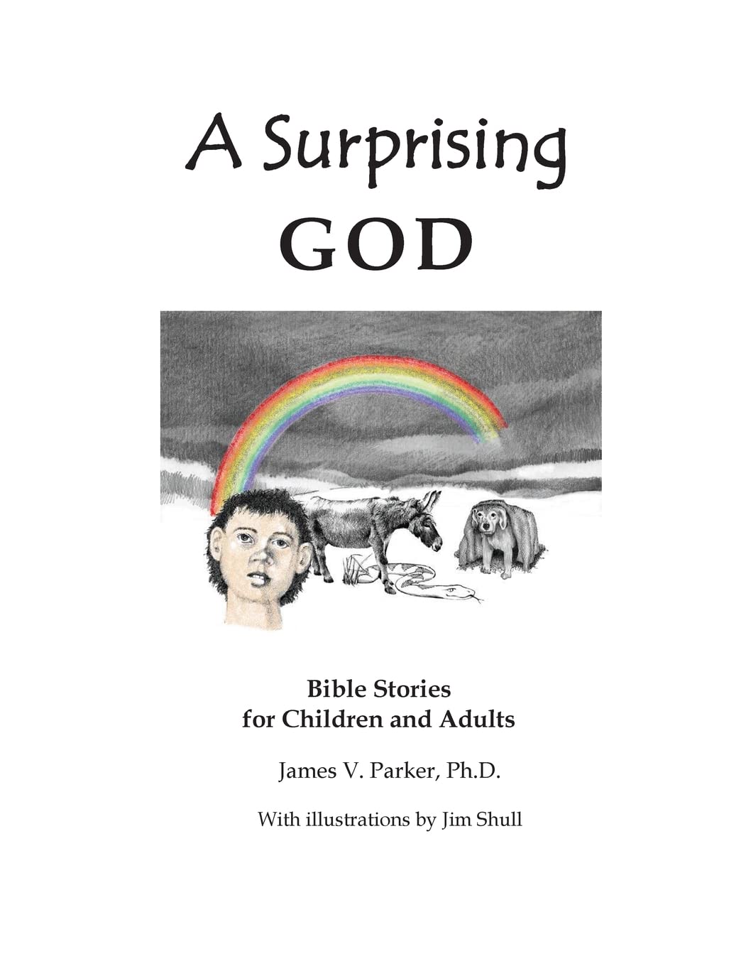 A Surprising God: Bible Stories For Children And Adults,Used