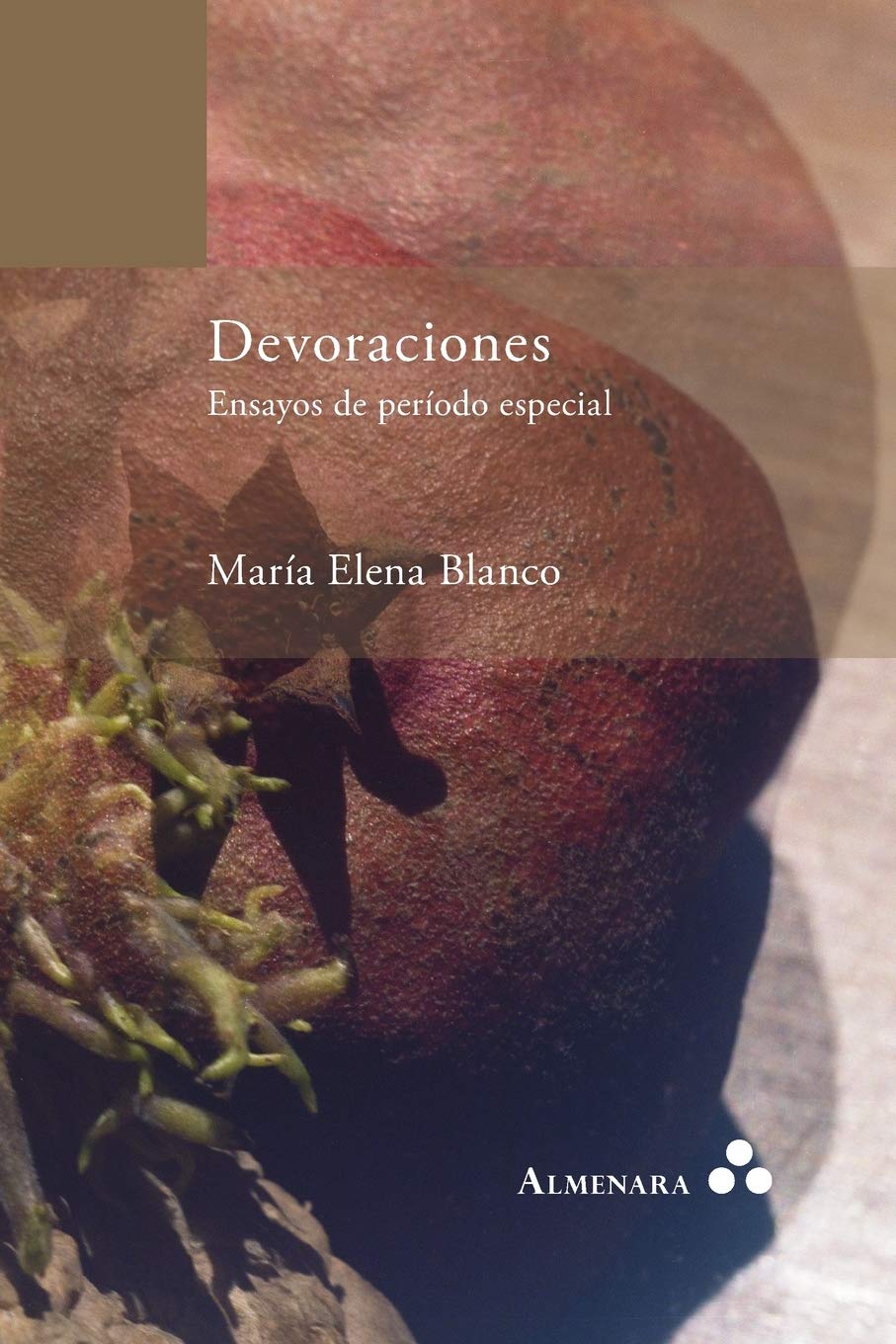 Devoraciones. Ensayos de periodo especial,Used