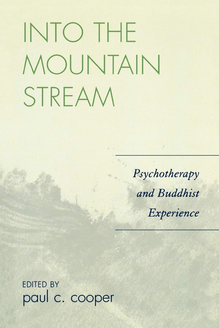 Into the Mountain Stream: Psychotherapy and Buddhist Experience,Used