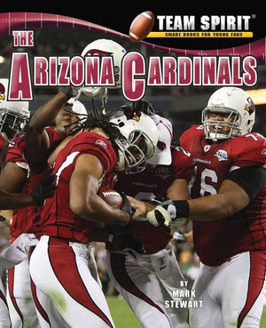 Arizona Cardinals, The (Team Spirit),Used