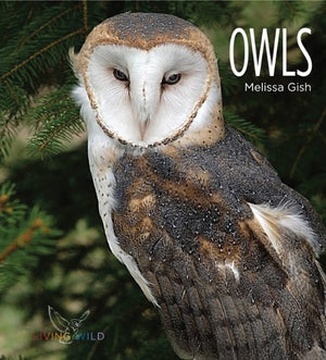 Living Wild: Owls