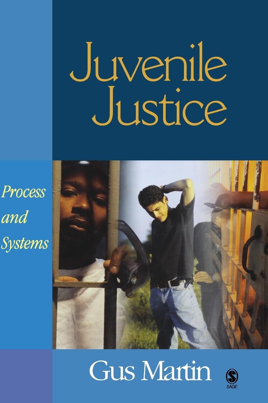 Juvenile Justice: Process and Systems,Used