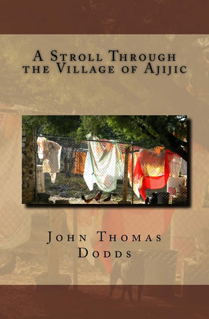 A Stroll Through the Village of Ajijic,Used