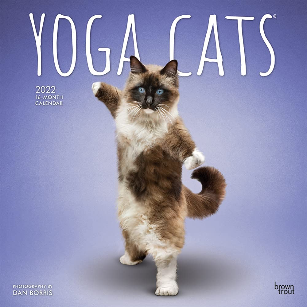 Yoga Cats Official 2022 12 X 12 Inch Monthly Square Wall Calendar, Animals Humor Pets