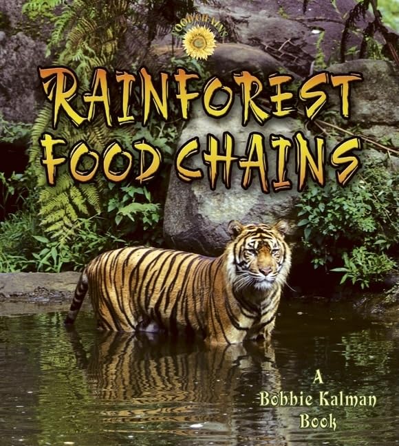 Rainforest Food Chains,Used