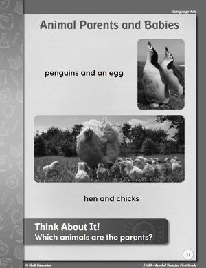 Leveled Texts for First Grade,Used