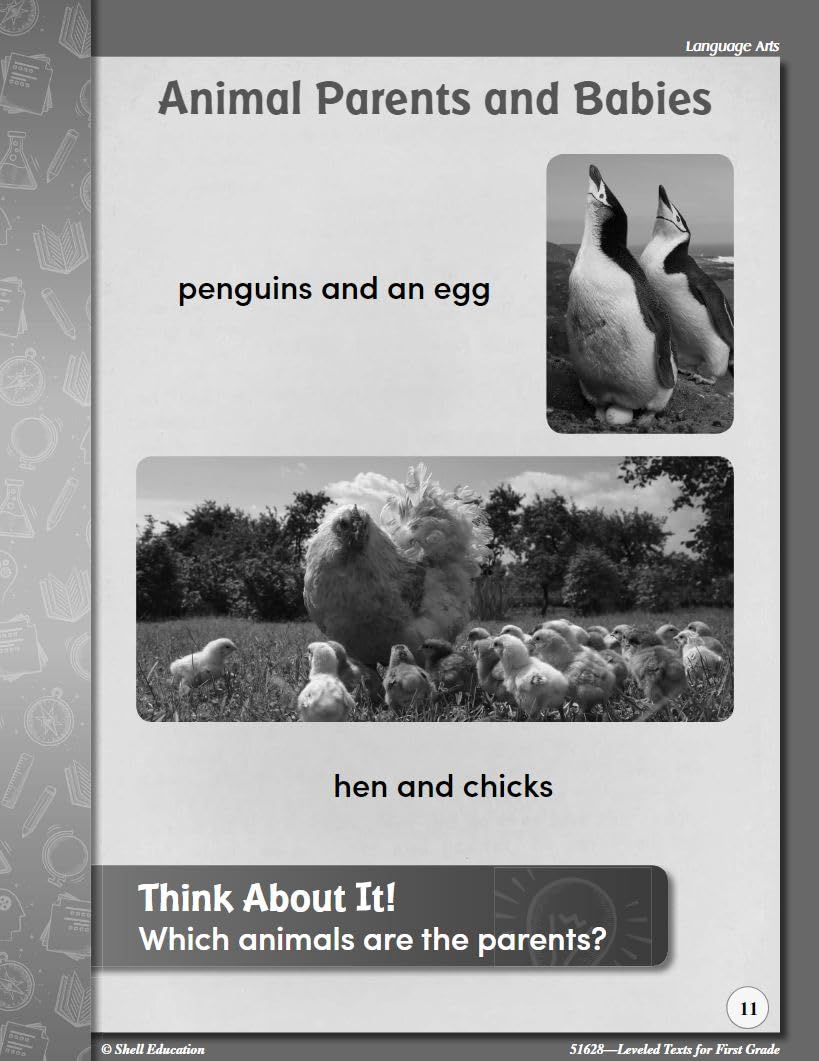 Leveled Texts for First Grade,Used