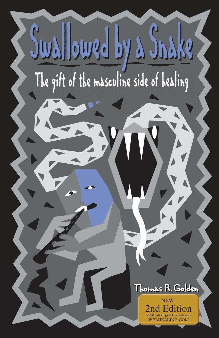 Swallowed by a Snake: The Gift of the Masculine Side of Healing,Used