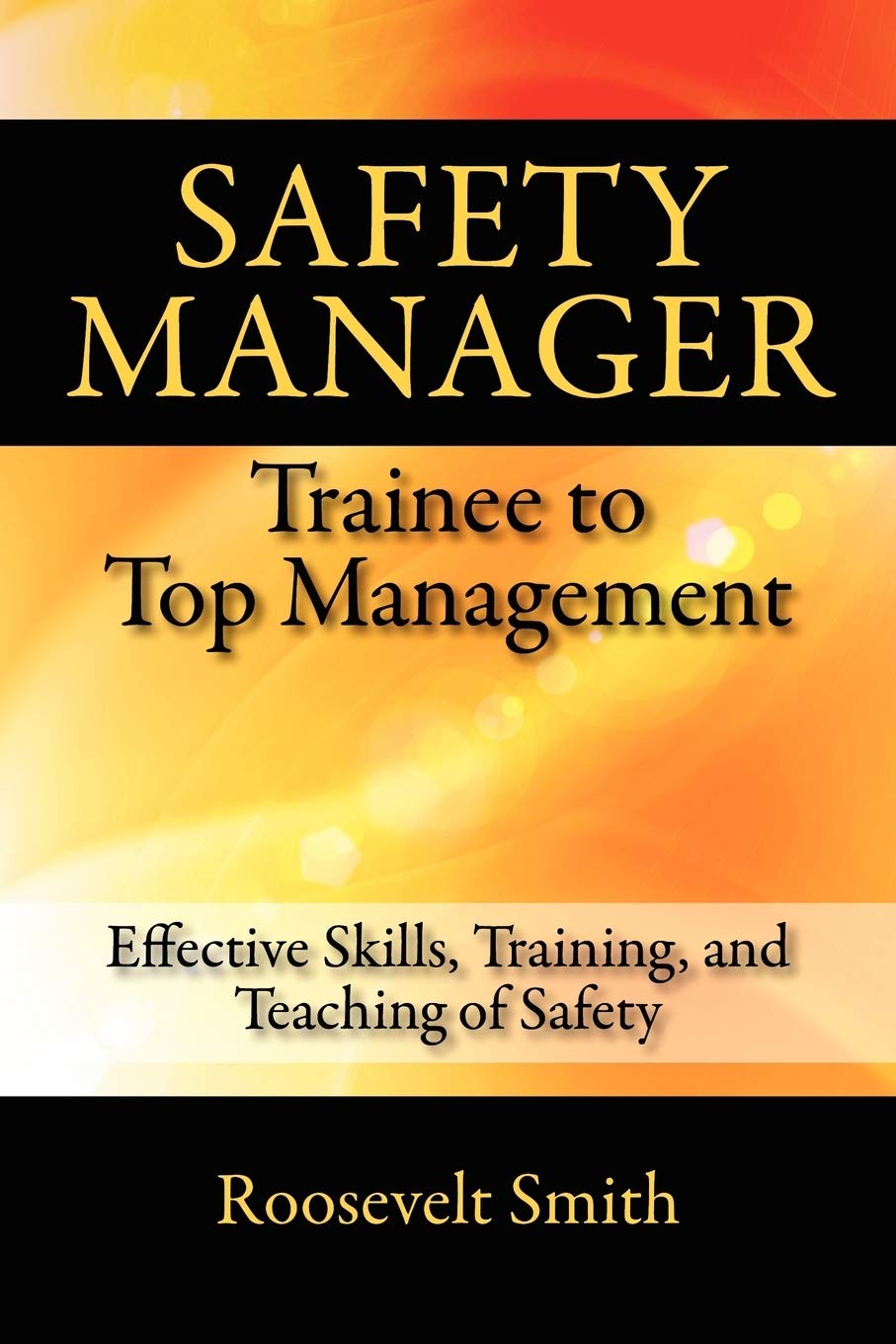 Safety Manager: Trainee to Top Management: Effective Skills, Training, and Teaching of Safety,Used