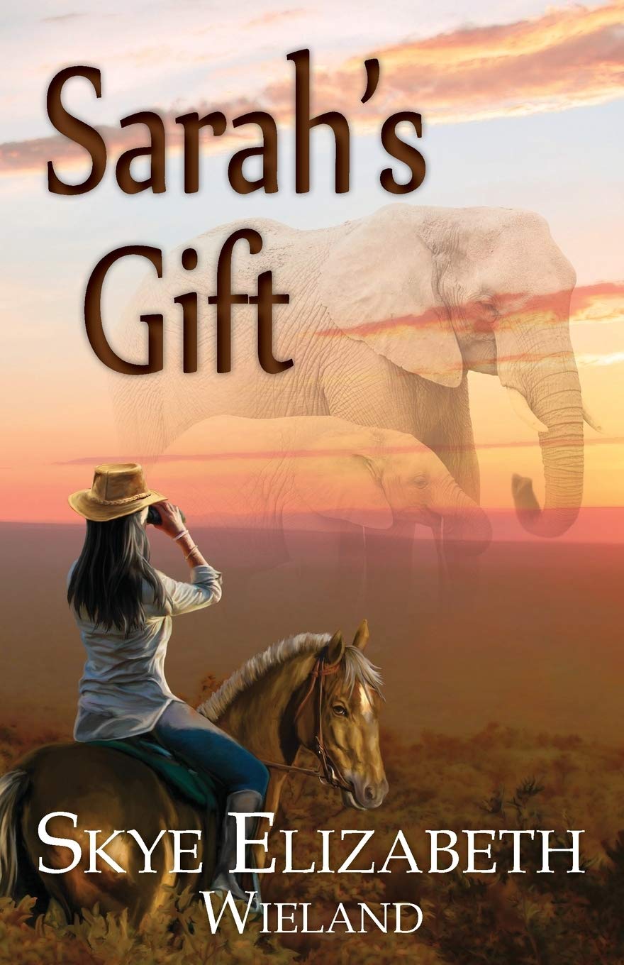 Sarah'S Gift (Dare To Follow),Used