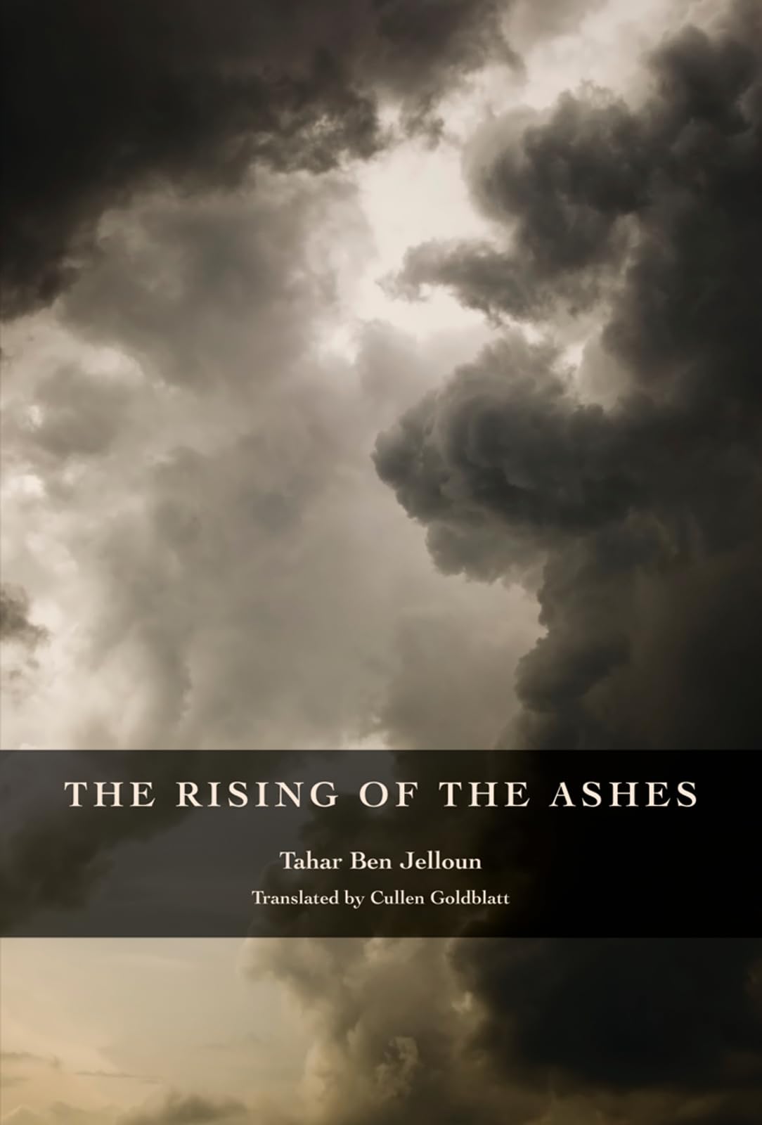 Rising Of The Ashes