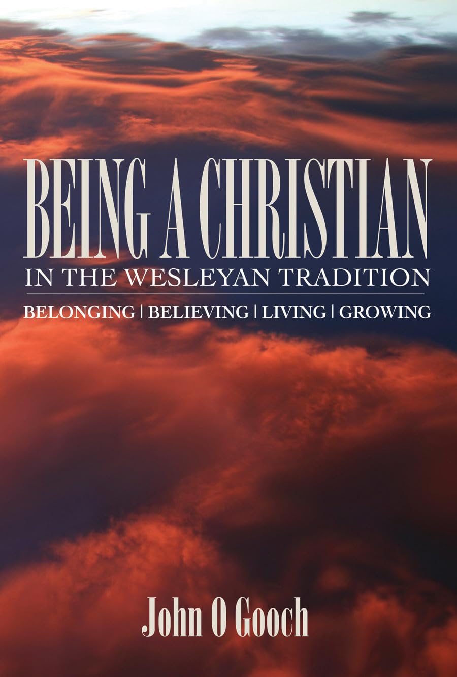 Being a Christian in the Wesleyan Tradition: Belonging/Believing/Living/Growing,Used