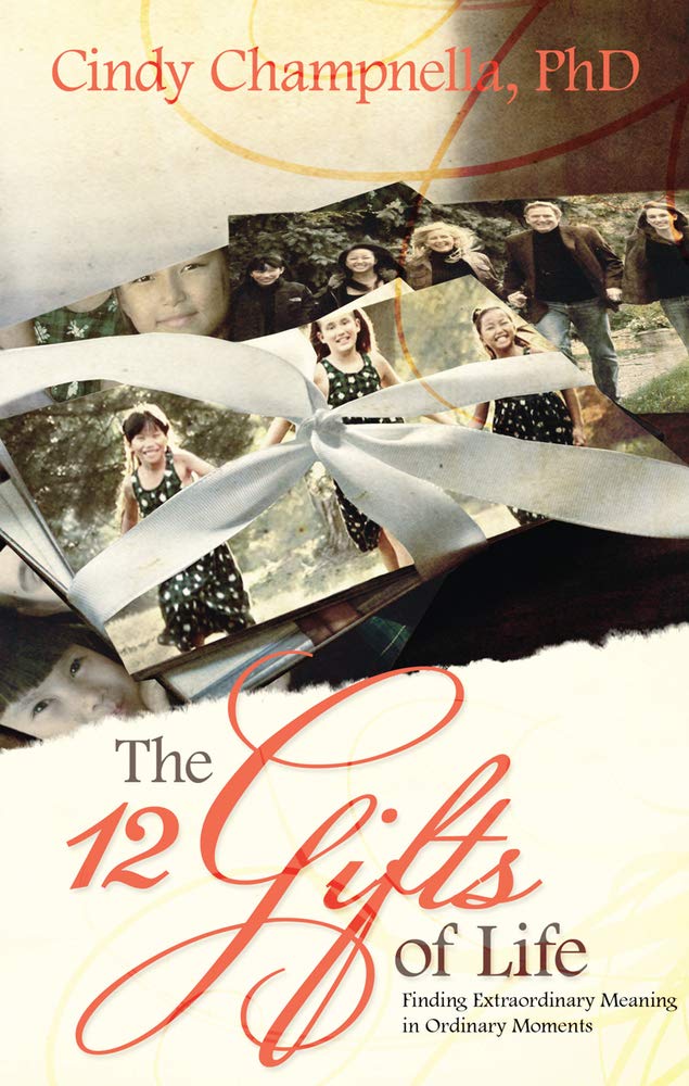 The Twelve Gifts Of Life: Finding Extraordinary Meaning In Ordinary Moments,Used
