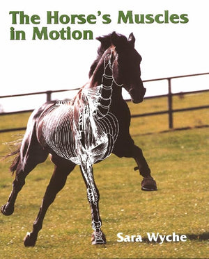 The Horse's Muscles in Motion,Used