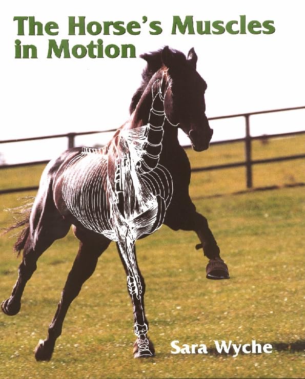 The Horse's Muscles in Motion,Used