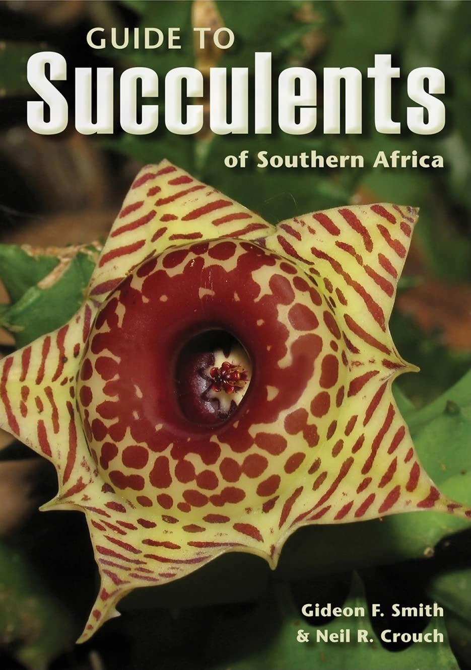 Guide to Succulents of Southern Africa,New