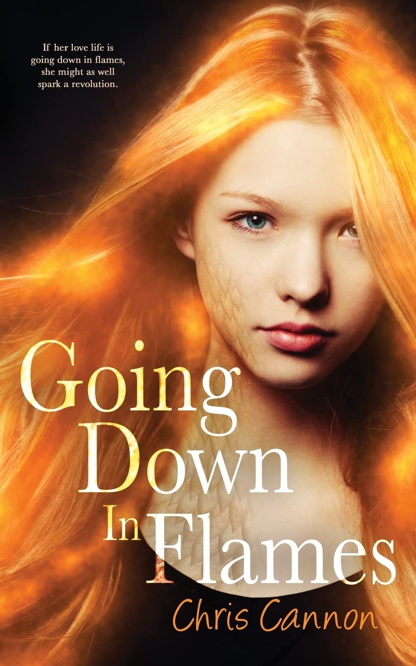 Going Down in Flames (A Going Down in Flames Novel),Used