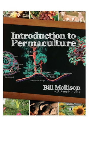 Introduction To Permaculture