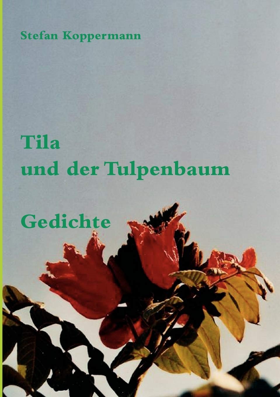 Tila Und Der Tulpenbaum (German Edition),Used