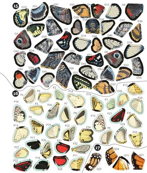 Brain Games  Sticker by Number  Vintage: Butterflies (28 Images to Sticker),Used