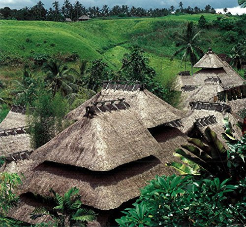 Bali Modern: The Art of Tropical Living,Used