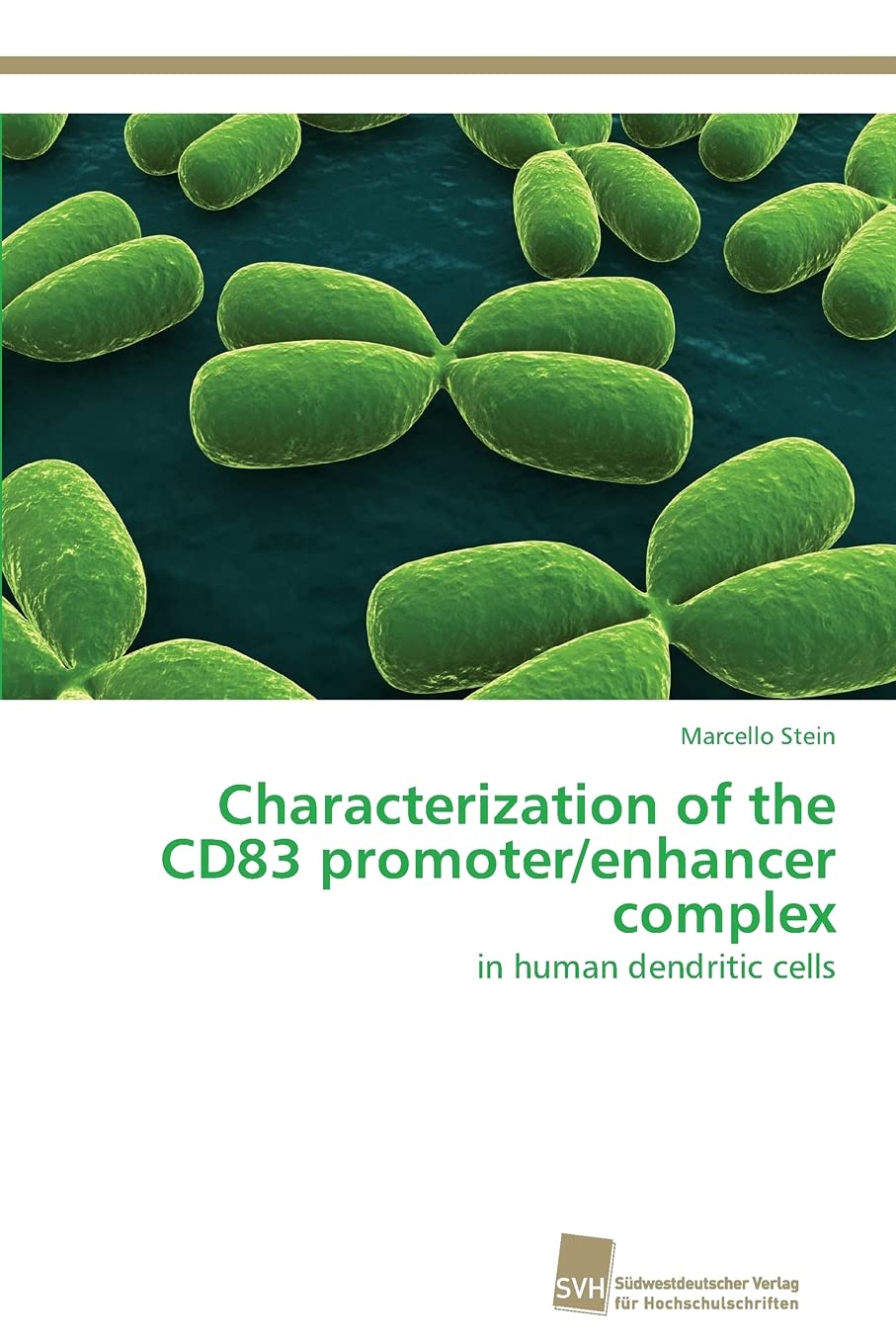 Characterization of the CD83 promoter/enhancer complex: in human dendritic cells,Used