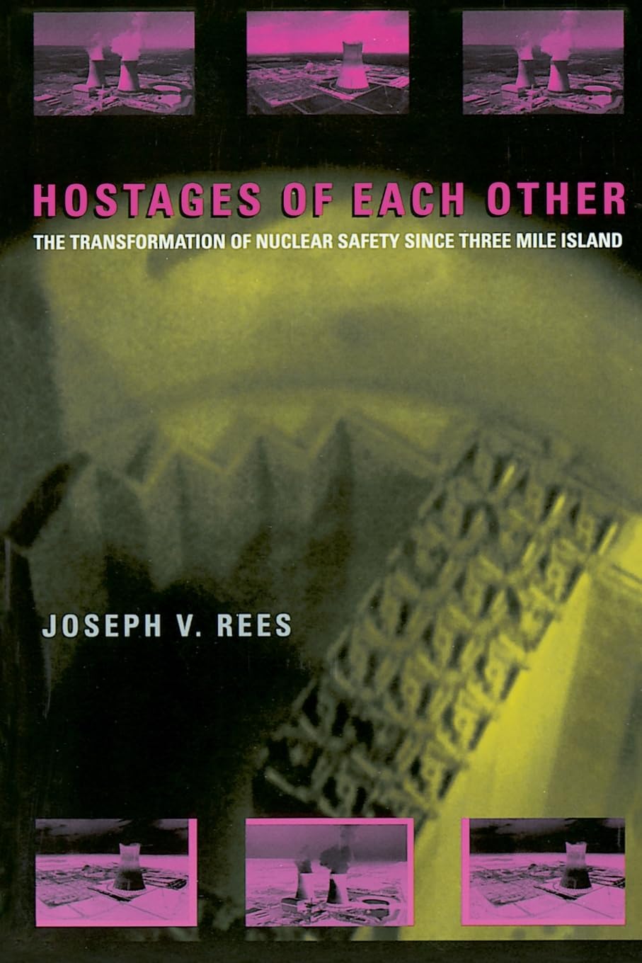 Hostages of Each Other: The Transformation of Nuclear Safety since Three Mile Island,Used