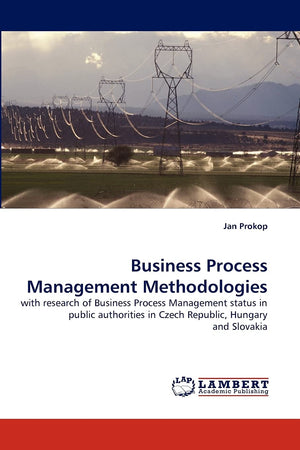 Business Process Management Methodologies: with research of Business Process Management status in public authorities in Czech Re,Used