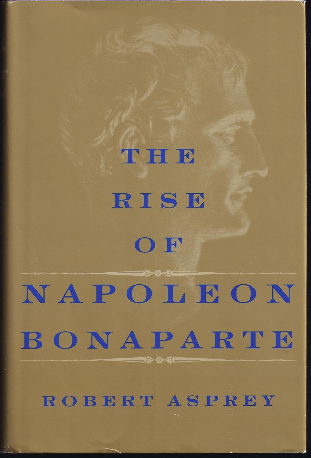 The Rise Of Napoleon Bonaparte,Used