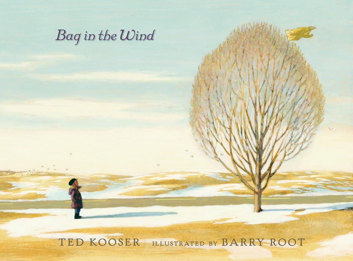 Bag in the Wind,Used