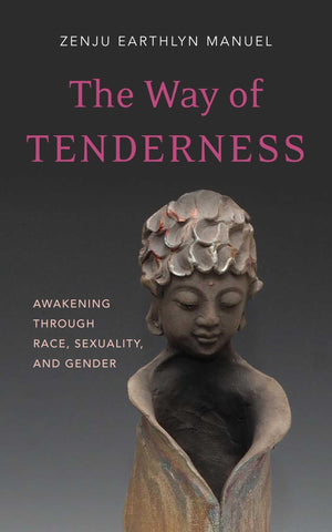 The Way of Tenderness: Awakening through Race, Sexuality, and Gender,Used