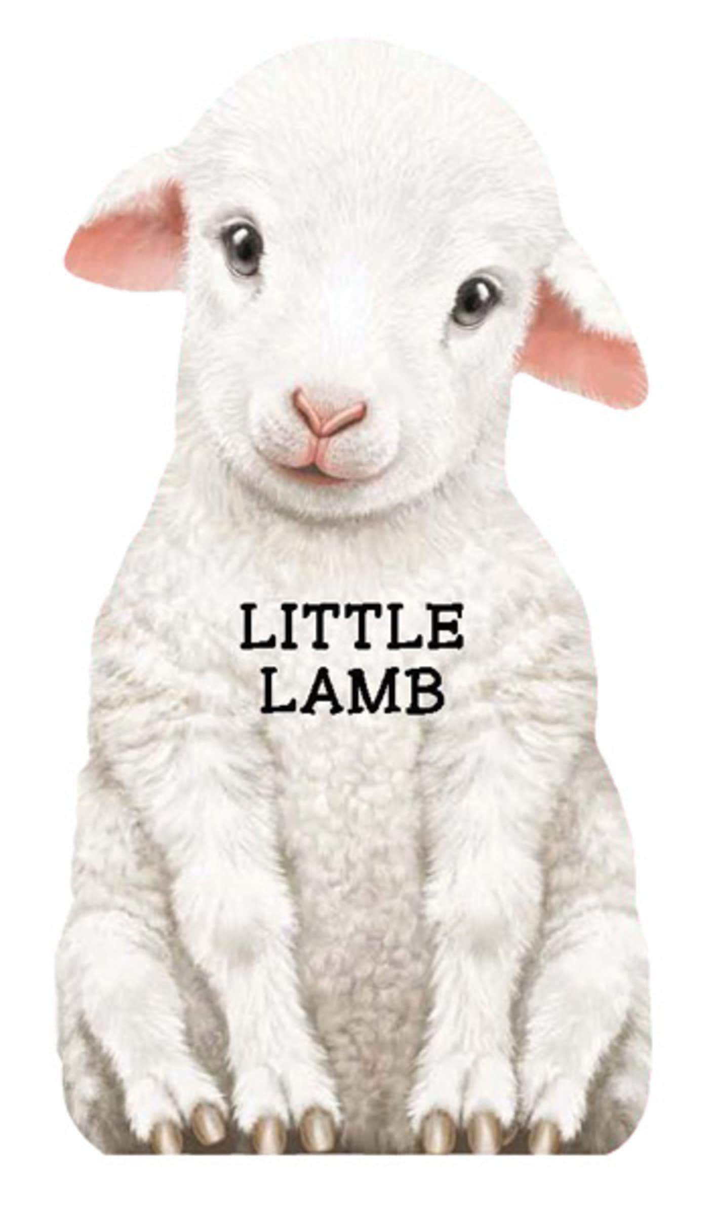 Little Lamb (Mini Look At Me Books)
