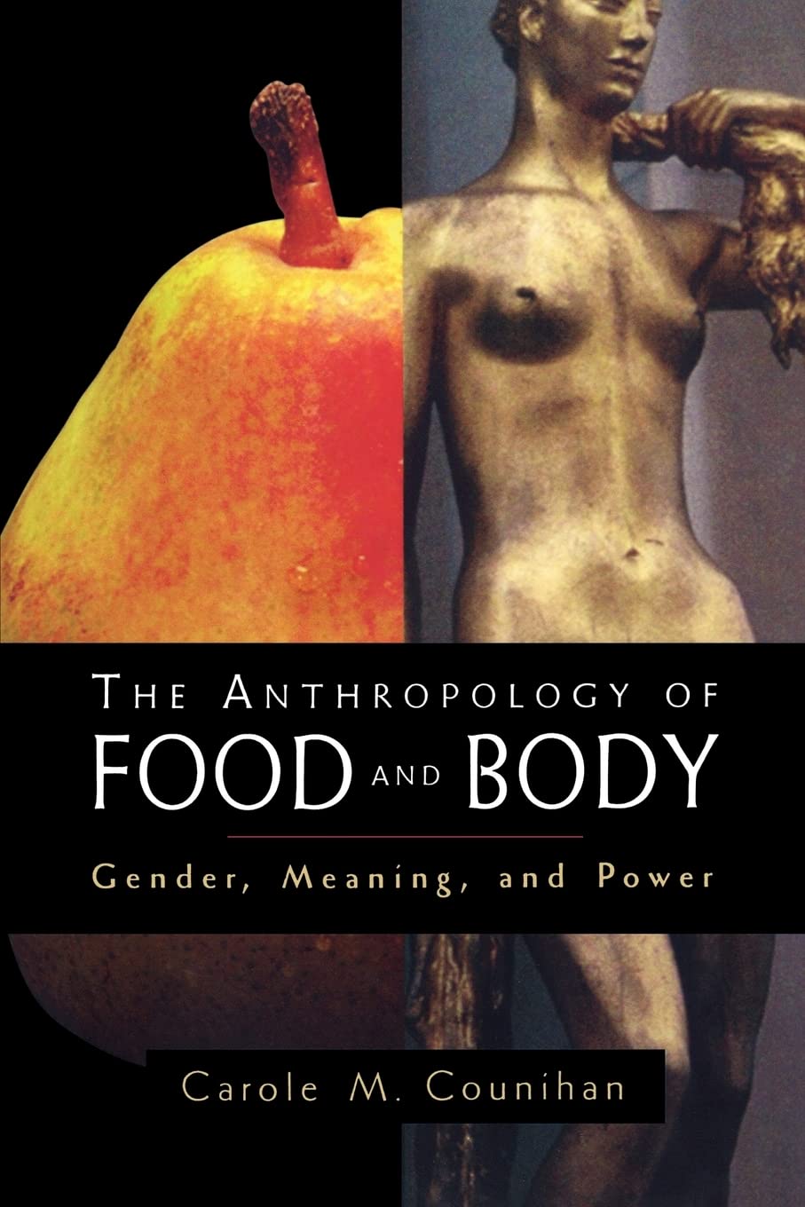 The Anthropology of Food and Body,Used