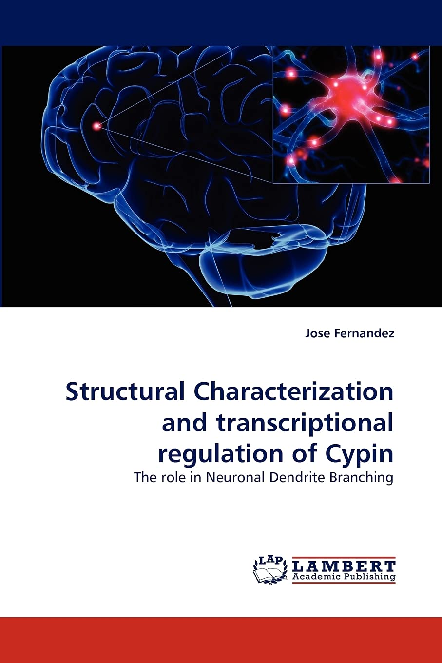 Structural Characterization and transcriptional regulation of Cypin: The role in Neuronal Dendrite Branching,Used