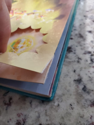 A Visit With the Fairies,Used