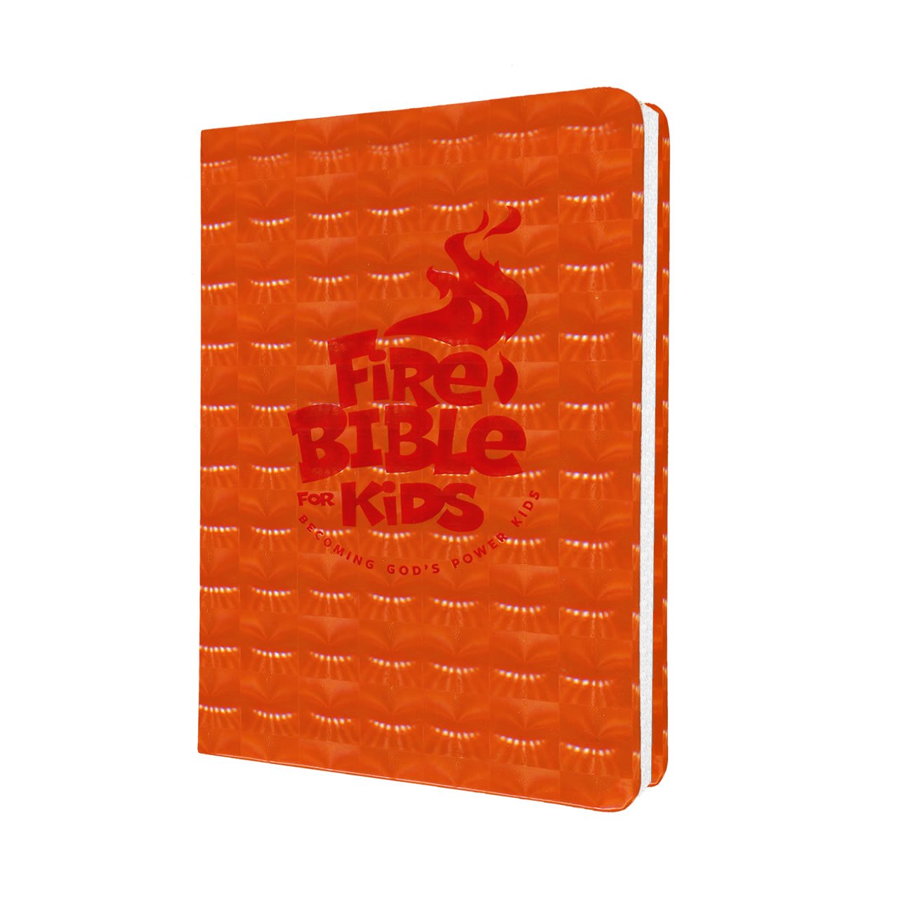 Holy Bible: New International Version, Fire Bible for Kids, Flex Cover,Used
