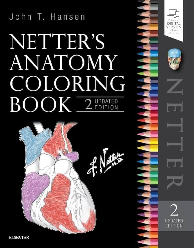 Netter s Anatomy Coloring Book Updated Edition (Netter Basic Science)