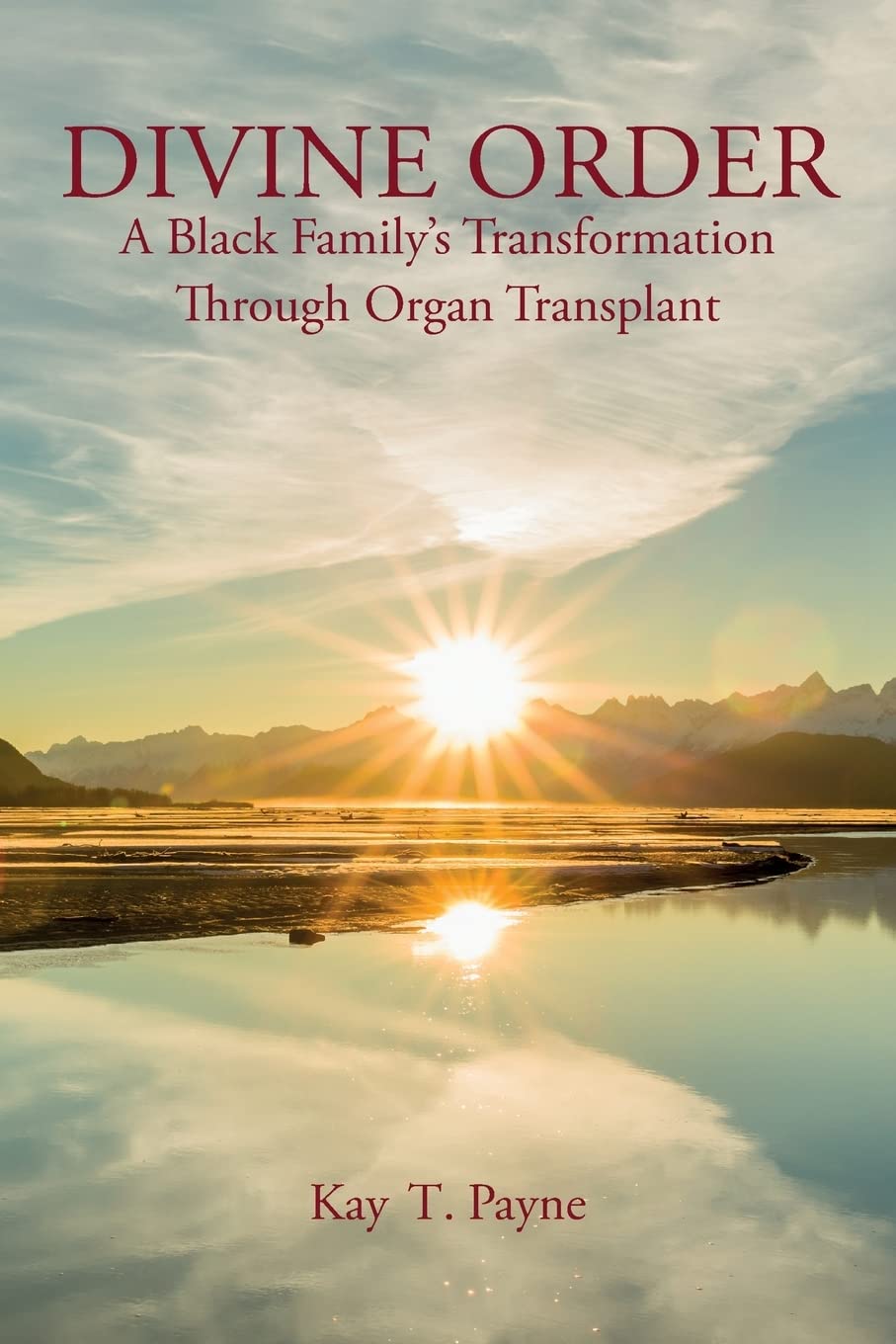 Divine Order: A Black Family's Transformation Through Organ Transplant,Used