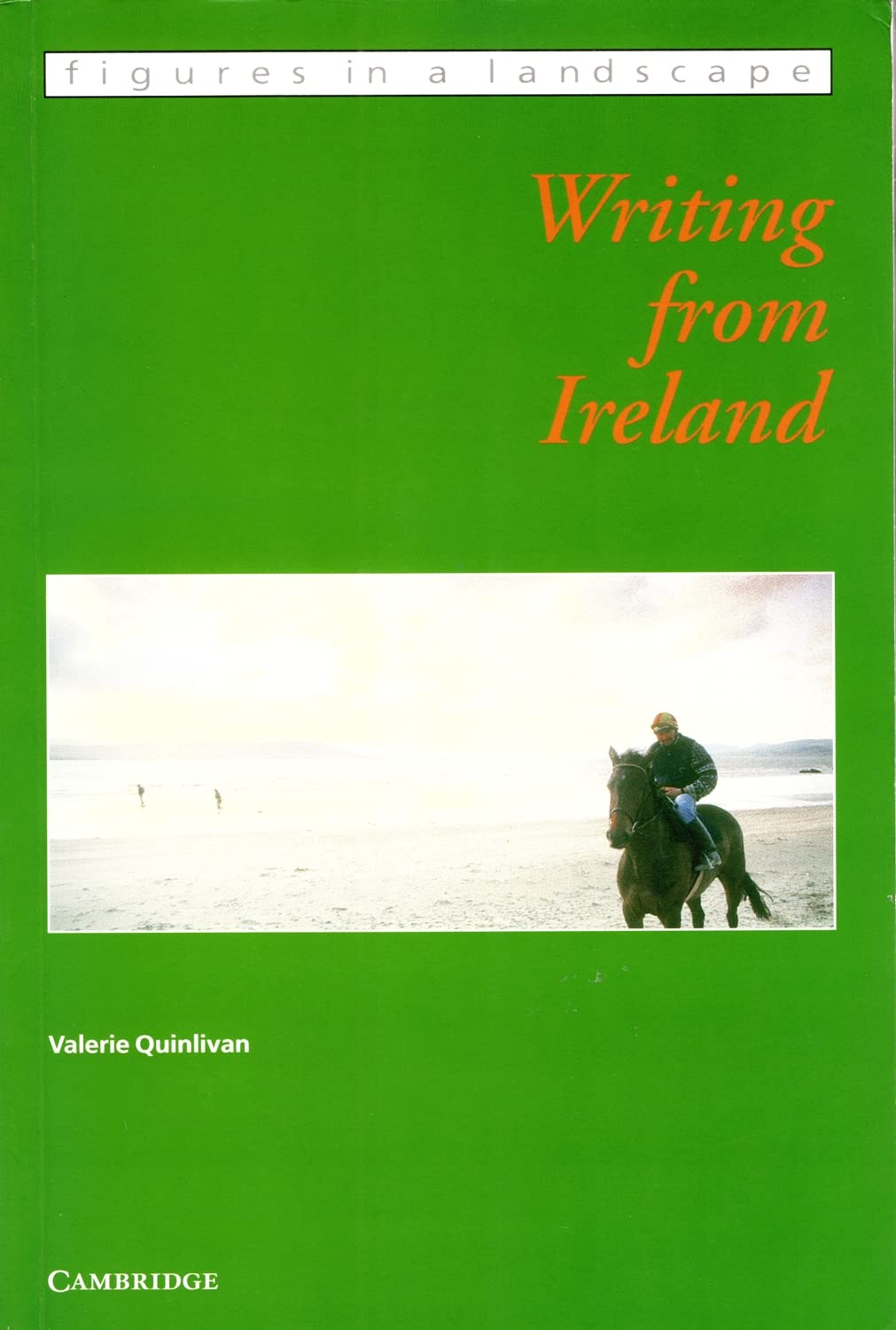 Writing from Ireland (Figures in a Landscape),Used