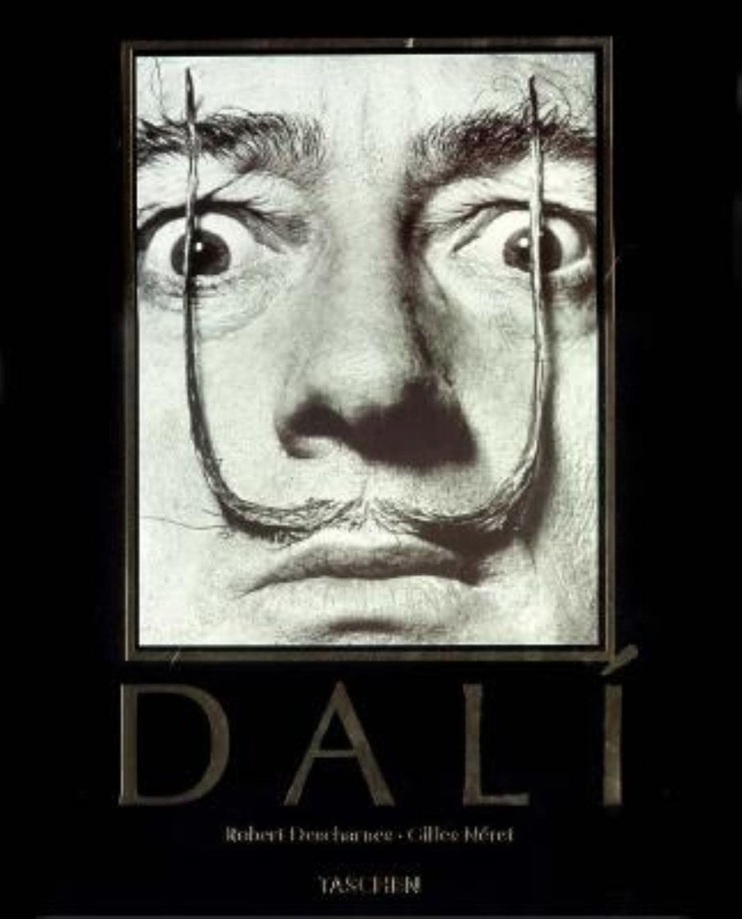 Dali: The Paintings,Used