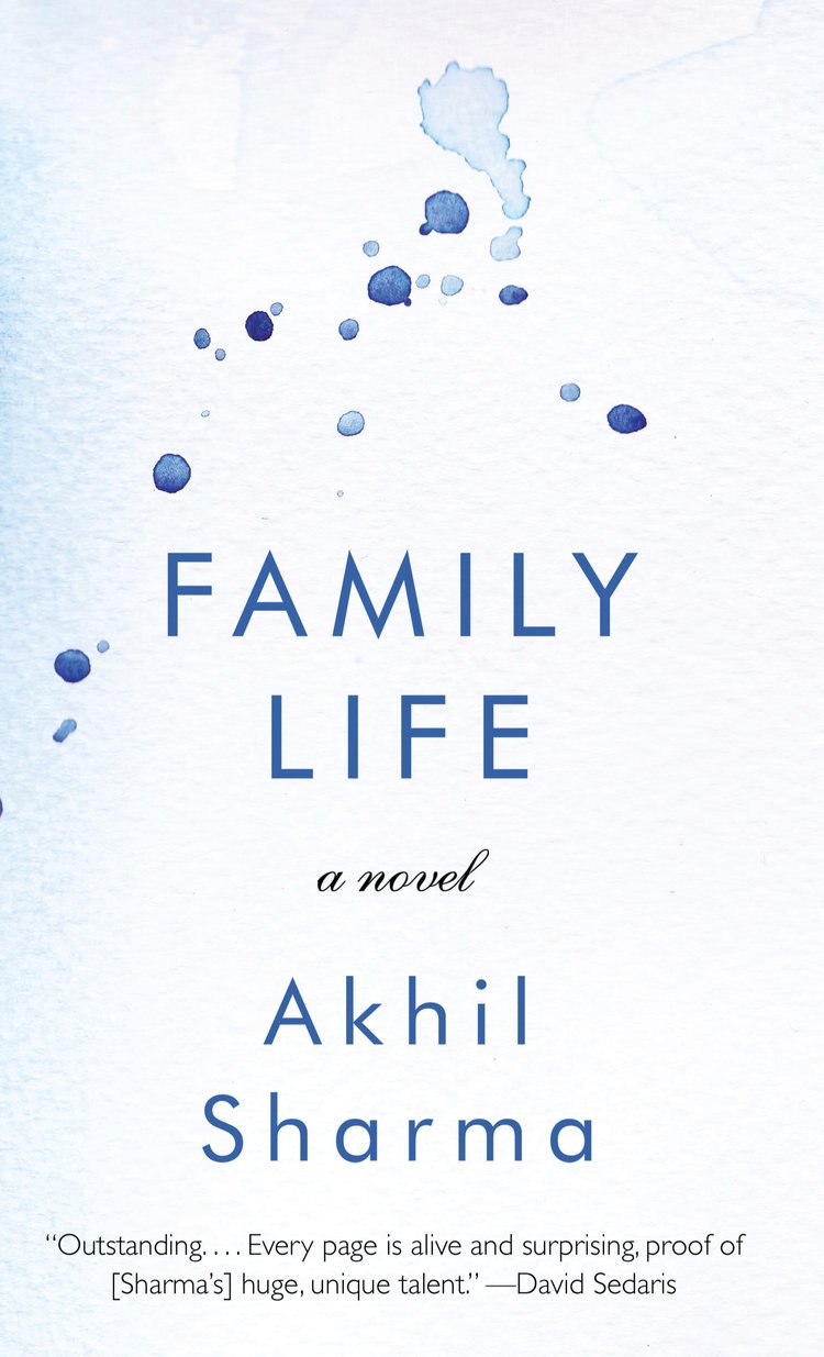 Family Life (Thorndike Press Large Print Basic),Used