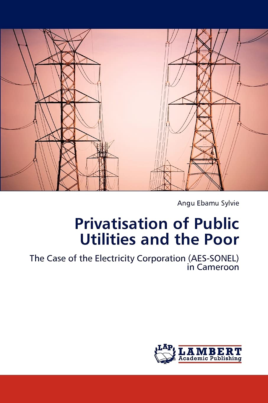 Privatisation of Public Utilities and the Poor: The Case of the Electricity Corporation (AESSONEL) in Cameroon,Used