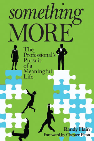 Something More: The Professional's Pursuit of a Meaningful Life,Used