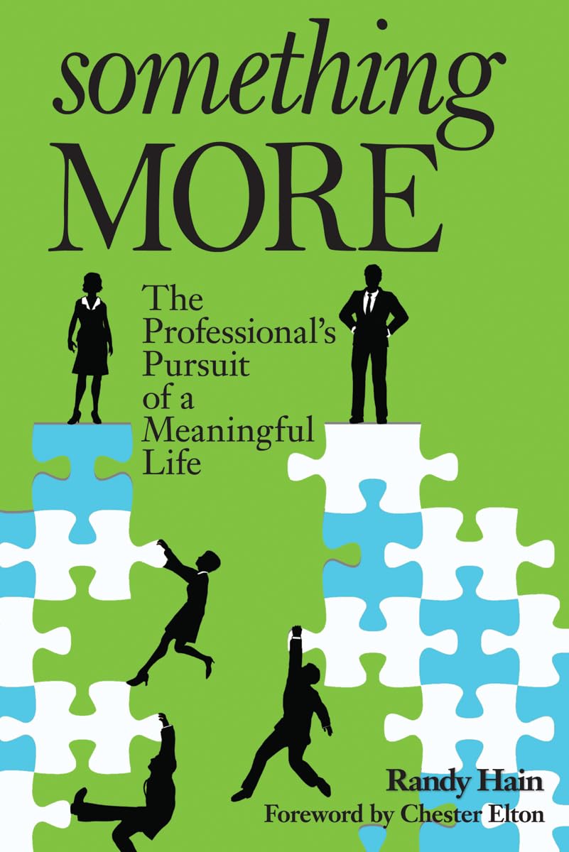 Something More: The Professional's Pursuit of a Meaningful Life,Used