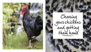 Chickens: The Essential Guide to Choosing and Keeping Happy, Healthy Hens,Used