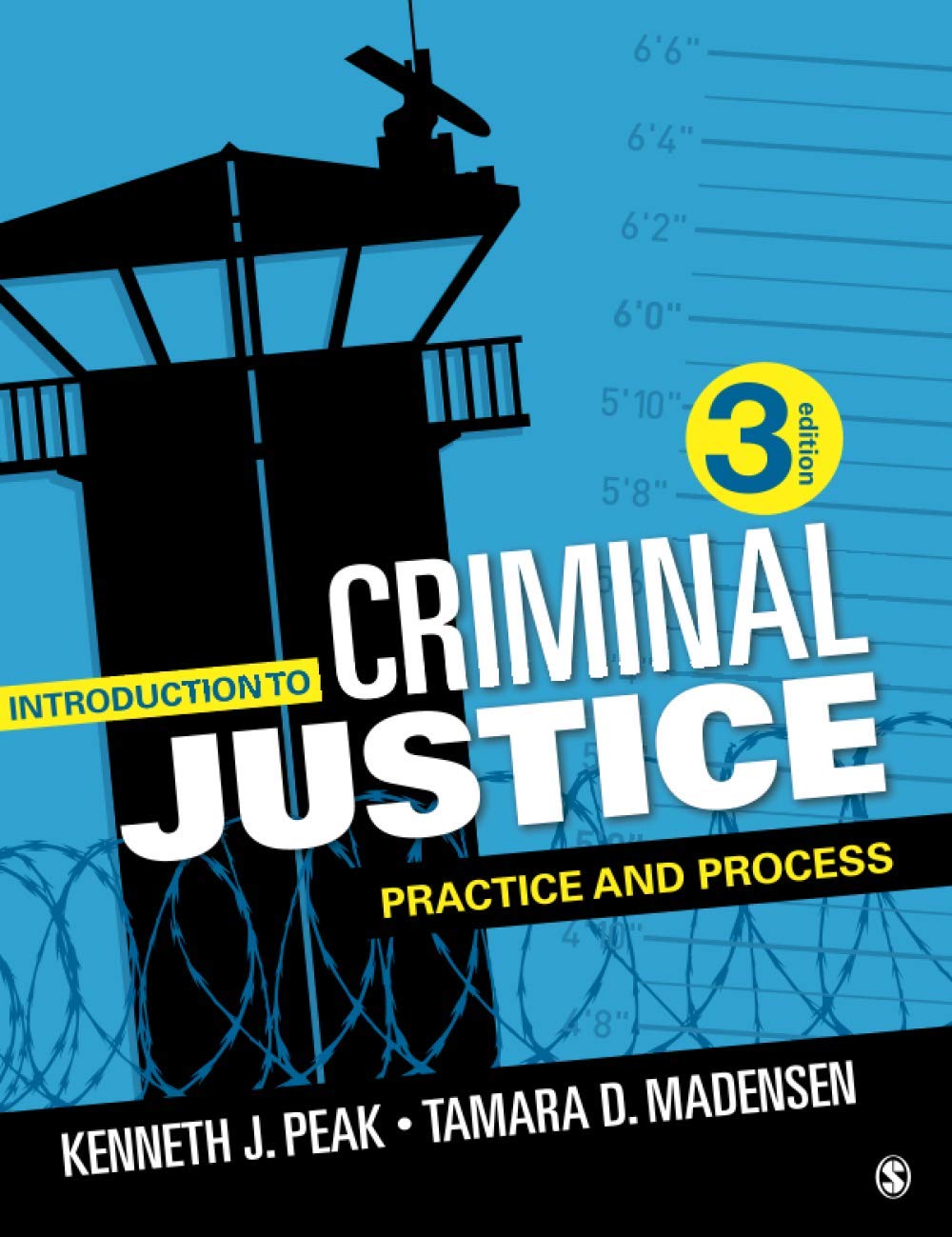 Introduction to Criminal Justice: Practice and Process,Used